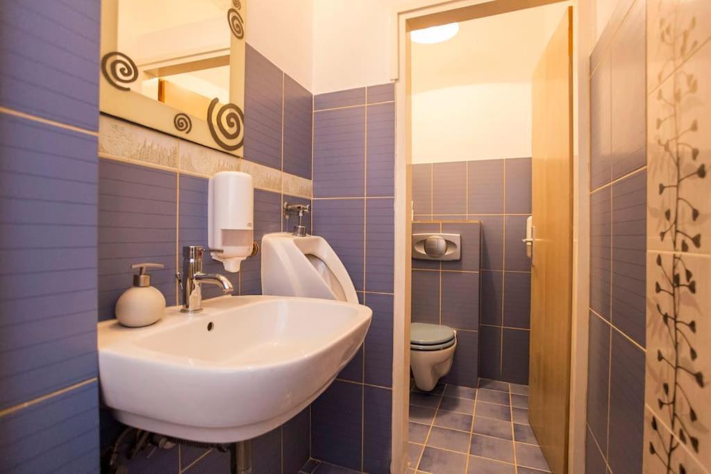 Apartament Apartman Den,Rovinj Oaza U Centru Grada I Besplatnim Parkingom Zewnętrze zdjęcie