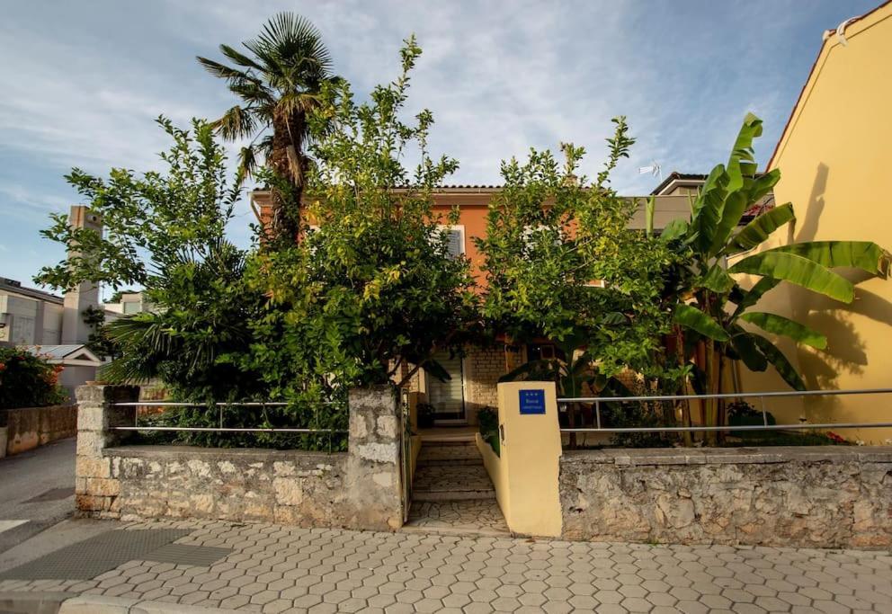 Apartament Apartman Den,Rovinj Oaza U Centru Grada I Besplatnim Parkingom Zewnętrze zdjęcie